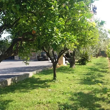 Mizar 2 Διαμέρισμα